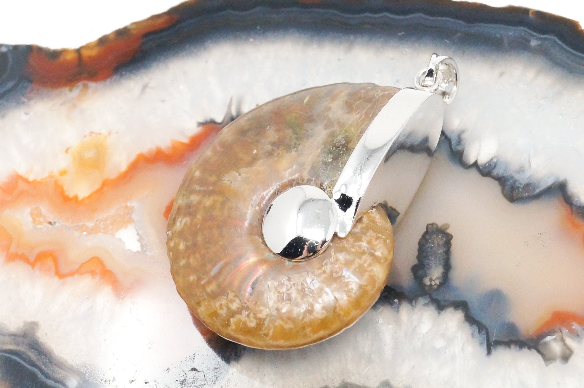 Vintage Nautilus Fossil Shell Sterling Silver Chunky Necklace Pendant