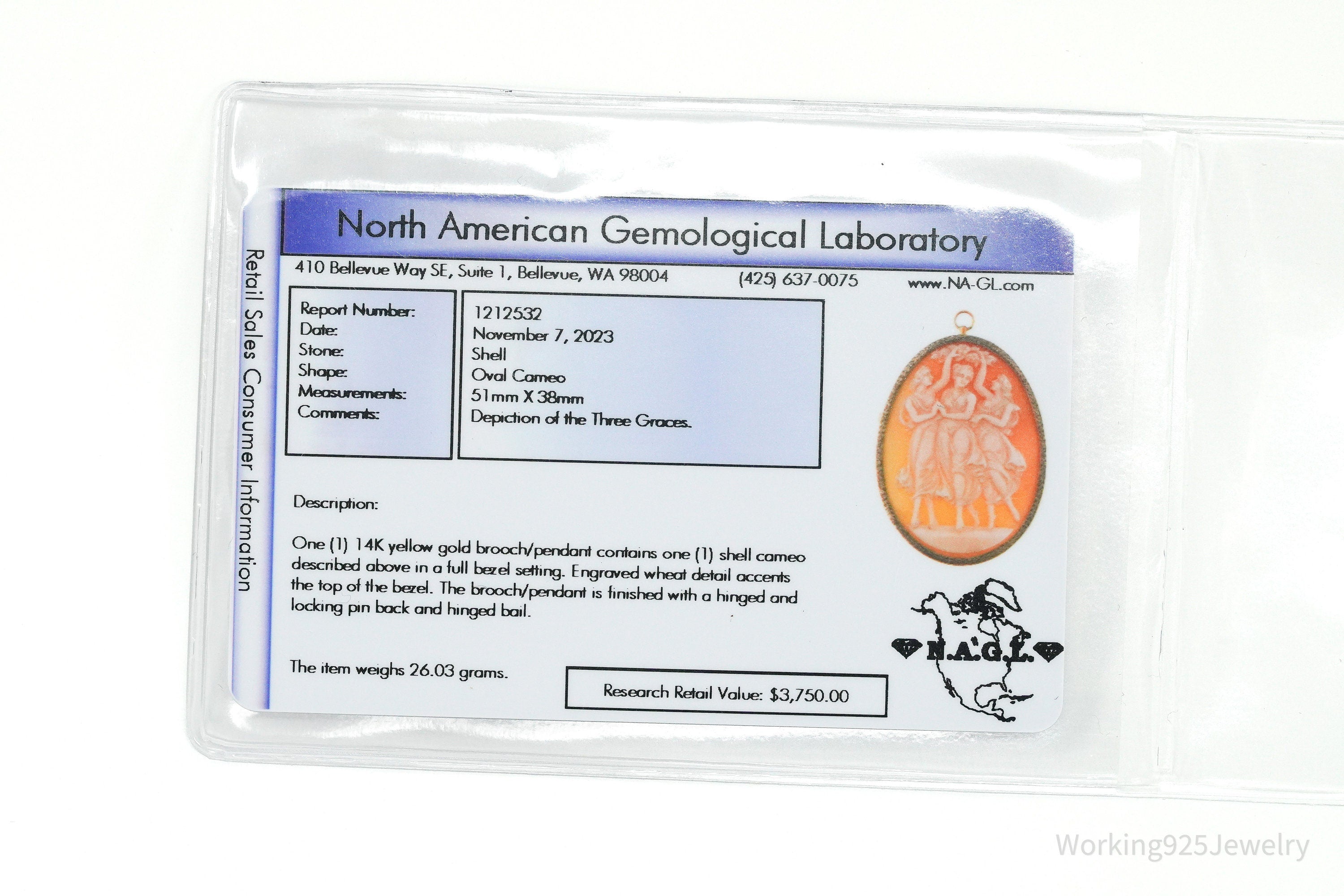 Antique 14K Yellow Gold Shell Cameo Brooch Pin Pendant