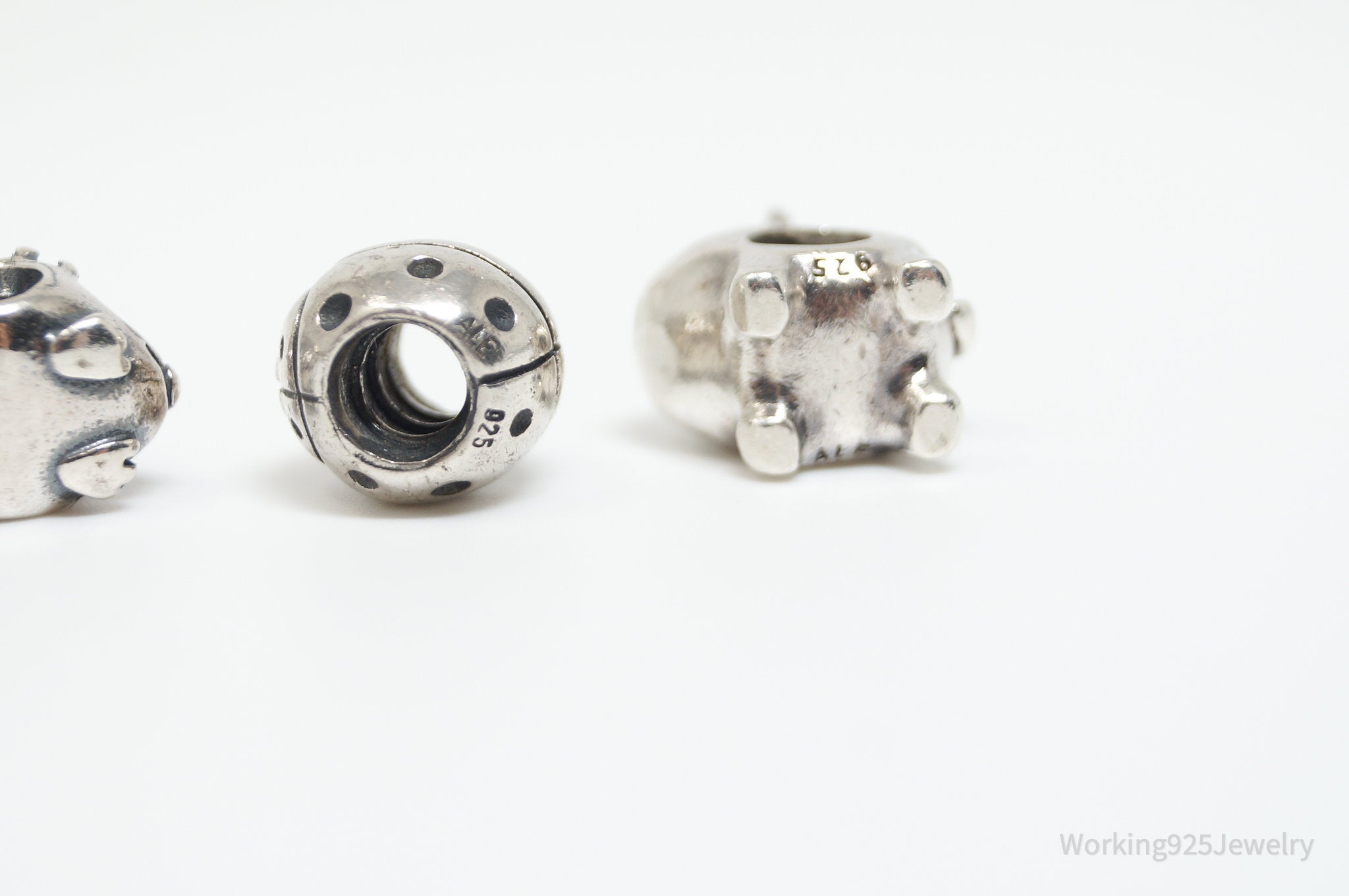 Authentic Pandora ALE Outdoors Sterling Silver Charms Set